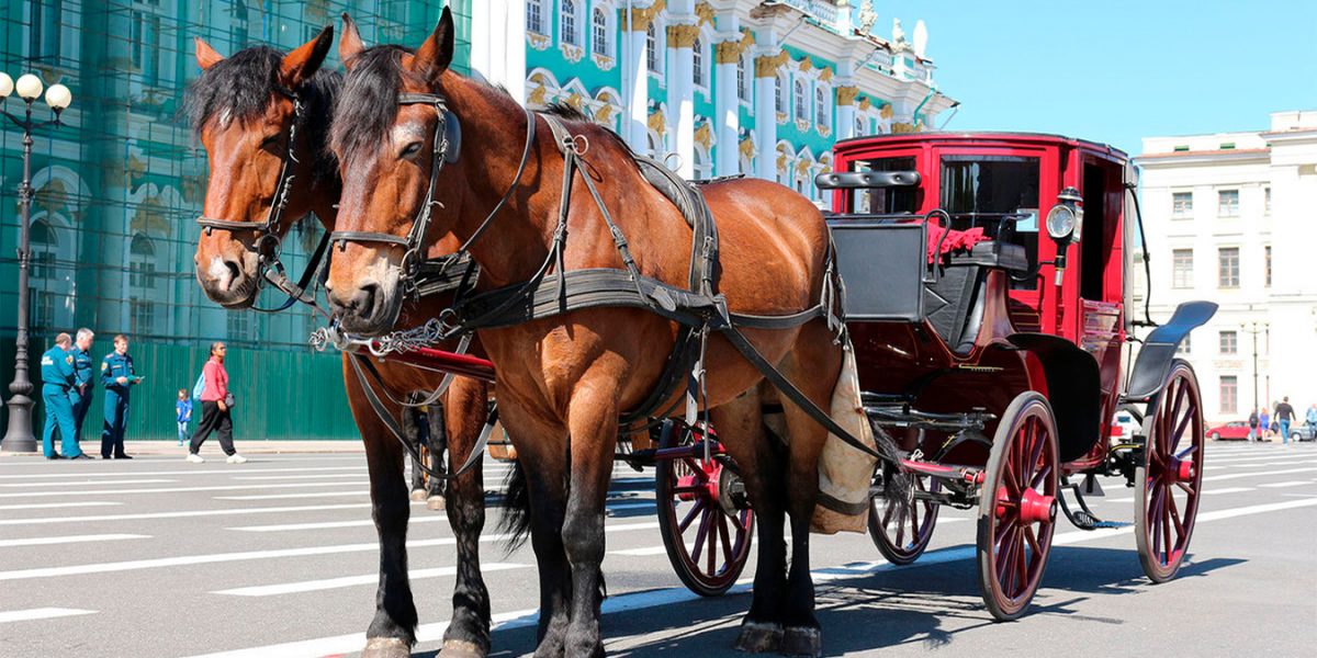 Австрийское глазландо для киносъемок