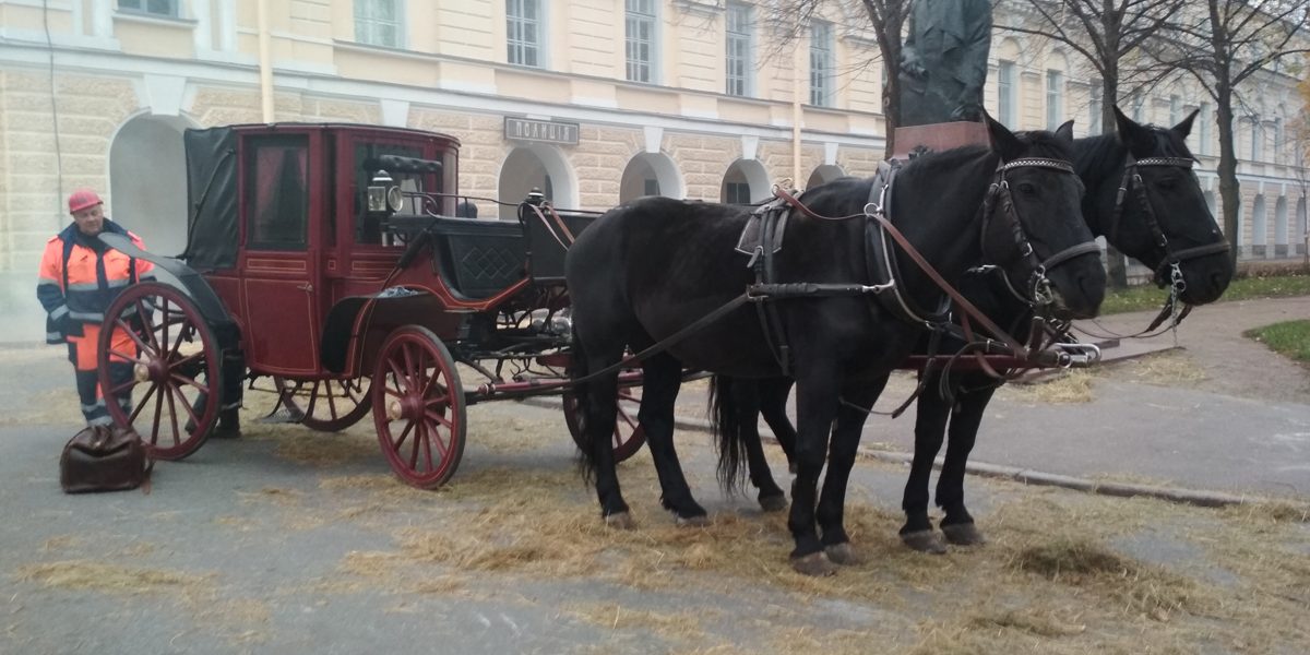 Австрийское глазландо для киносъемок