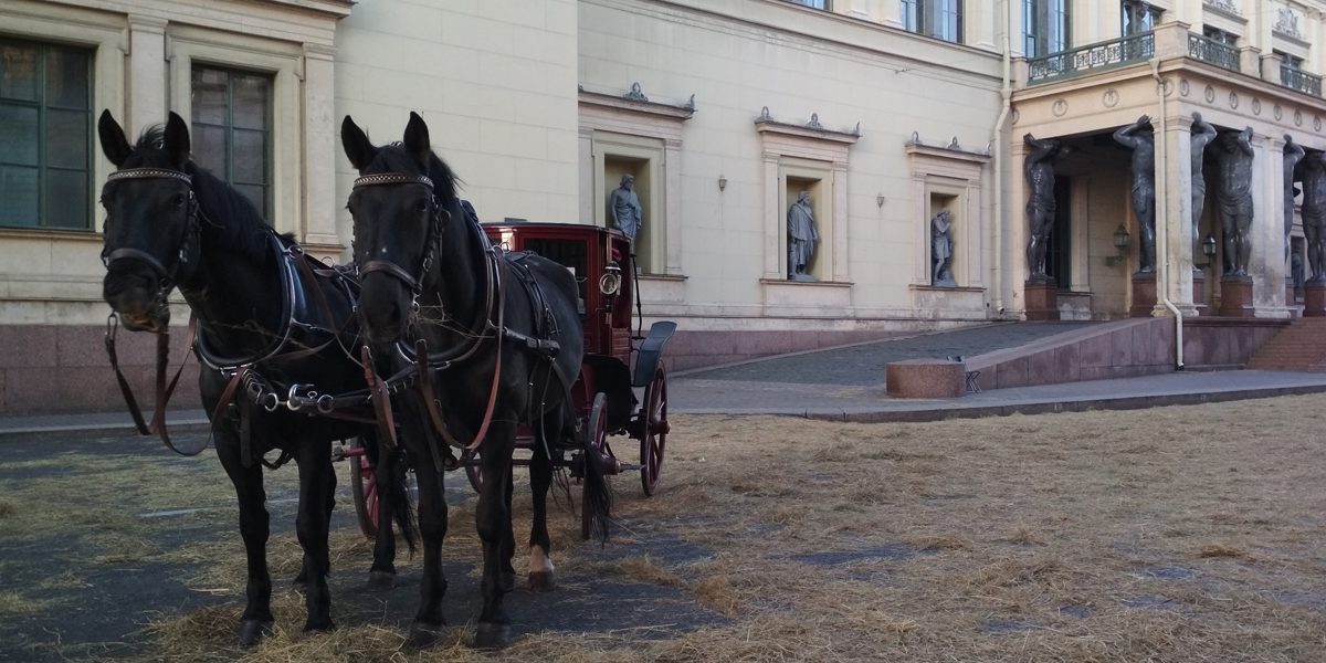 Австрийское глазландо для киносъемок