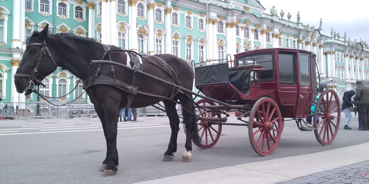 Вишневое глазландо для киносъемок