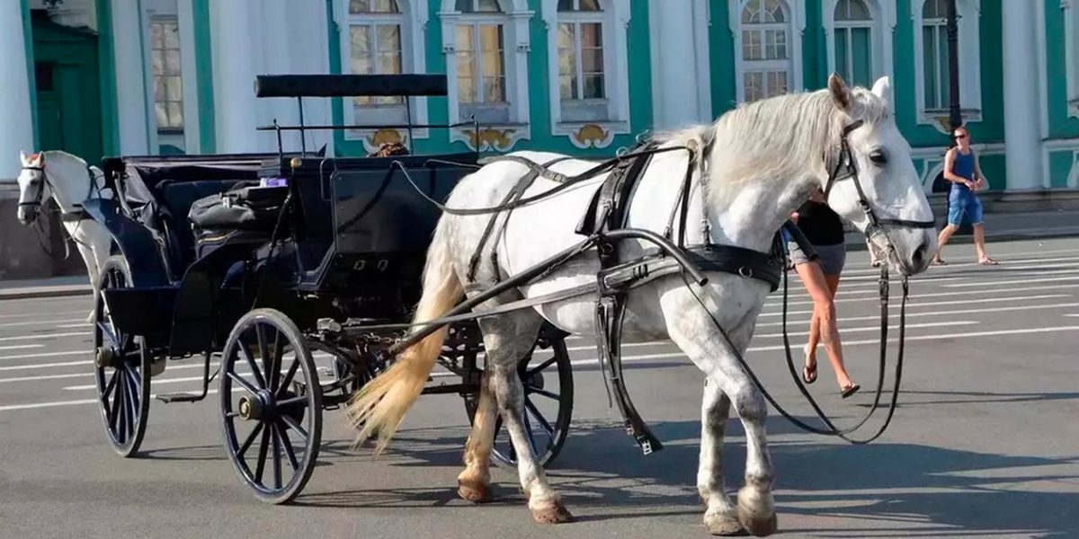 Вис а Вис синее для киносъемок