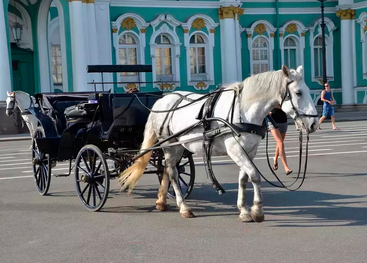 Лошадка москва. Повозка с лошадью. Карета с лошадью. Лошадь в городе. Колымага с лошадьми.