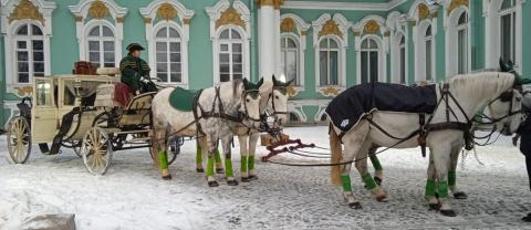 IMG-20211211-WA0009